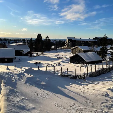 Apartment Sjusjoen * Sjusjoen