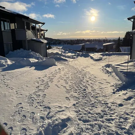 Apartment Sjusjoen