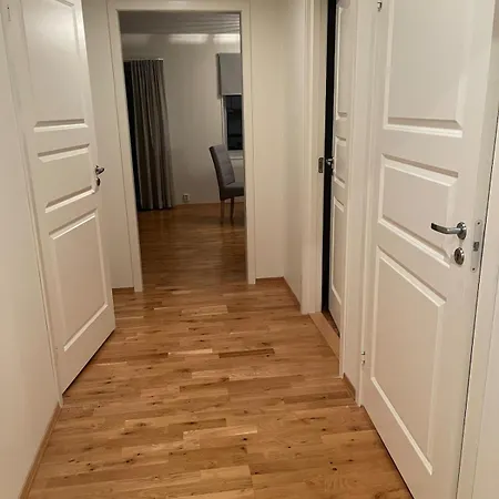 Apartment Sjusjoen *