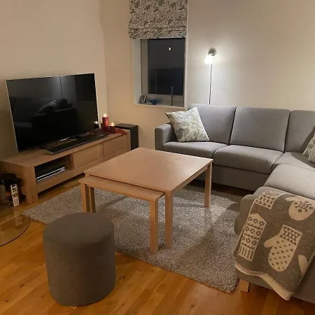 Apartment Sjusjoen