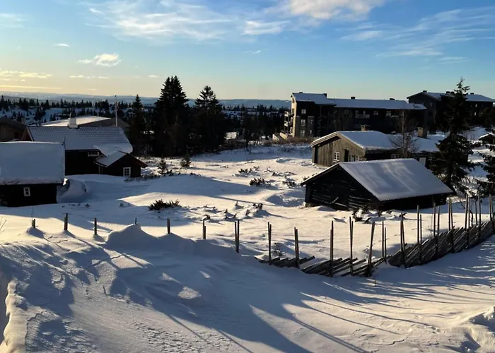 Apartment Sjusjøen * Sjusjoen