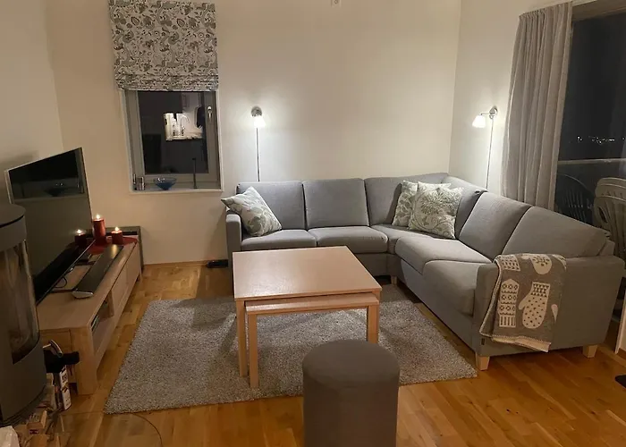 Apartment Sjusjøen Leilighet
